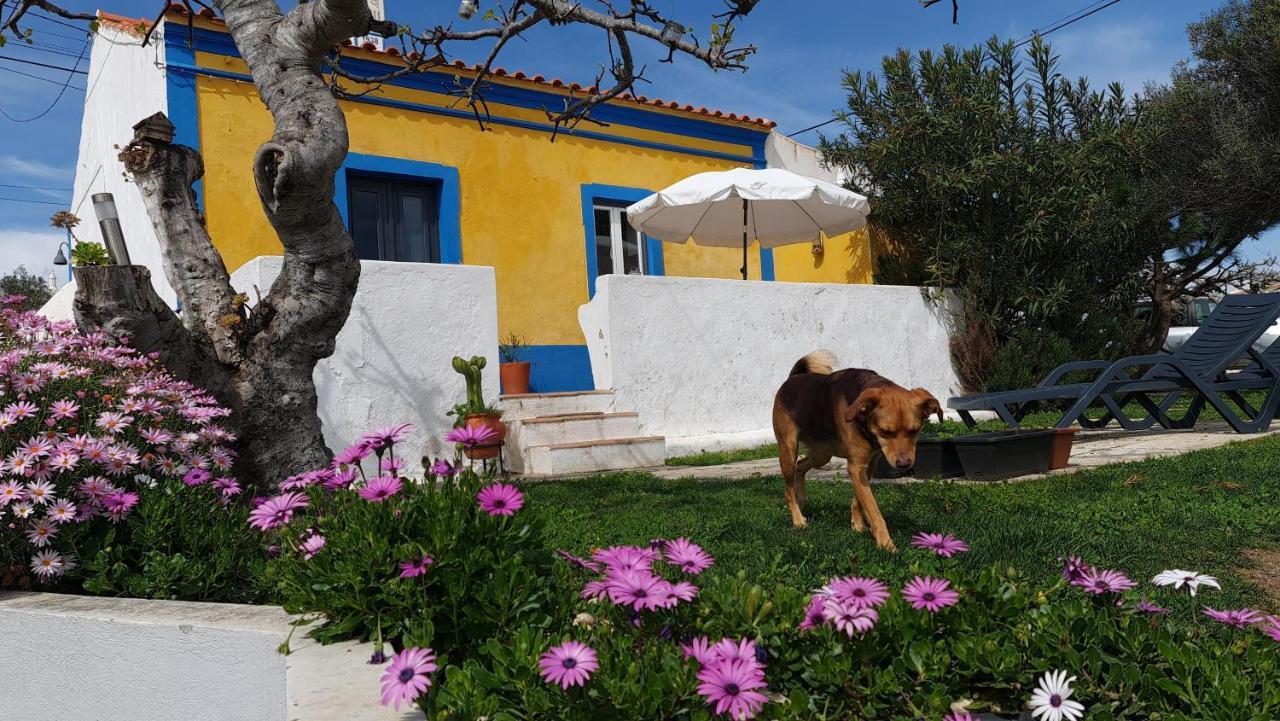Monte Da Ti Luzia Hébergement de vacances